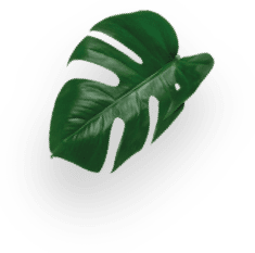 Cacao caliente KitKat&reg; decoration Image